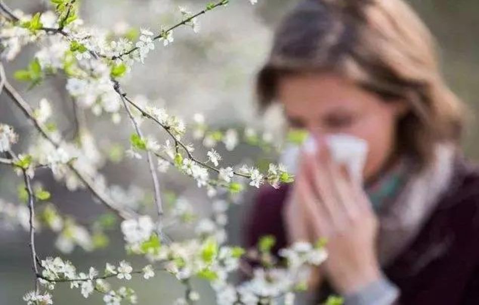 春季花粉过敏高发如何做好防护？北京疾控发布提示