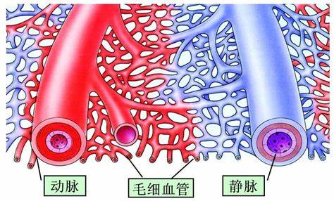 别再回忆令人生气的经历 愤怒可能损害血管健康