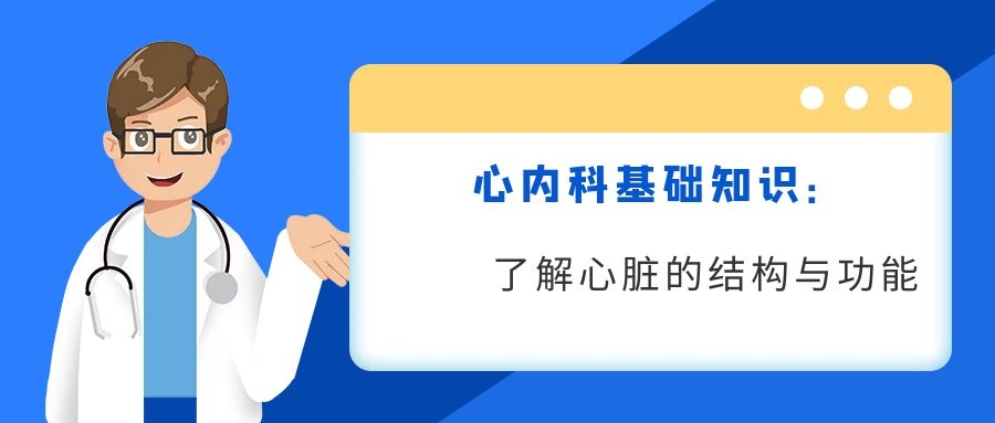 心内科基础知识：了解心脏的结构与功能