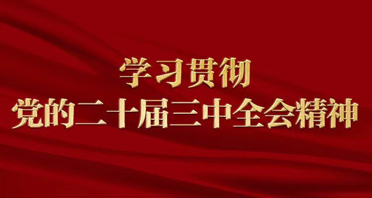 河南省公共关系协会党支部传达学习党的二十届三中全会精神