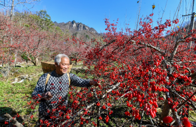 河南中医药，真“中”！